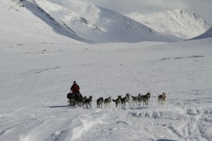 Vinterexpedition Sarek – toppturer och hundspann