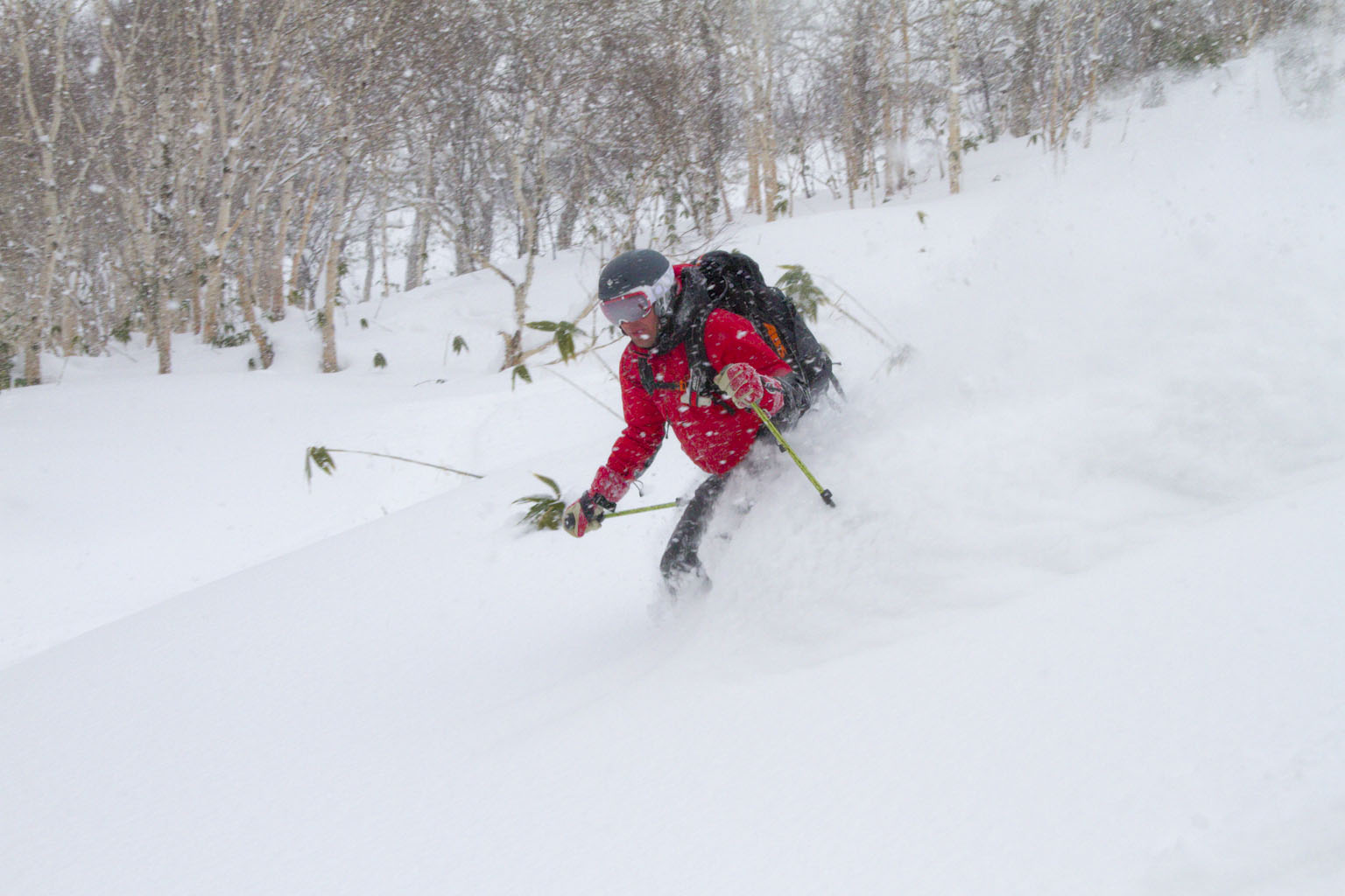 Anders Aidanp skiing powder in Japan, 4th Jan 2011. Photo: Andreas Bengtsson