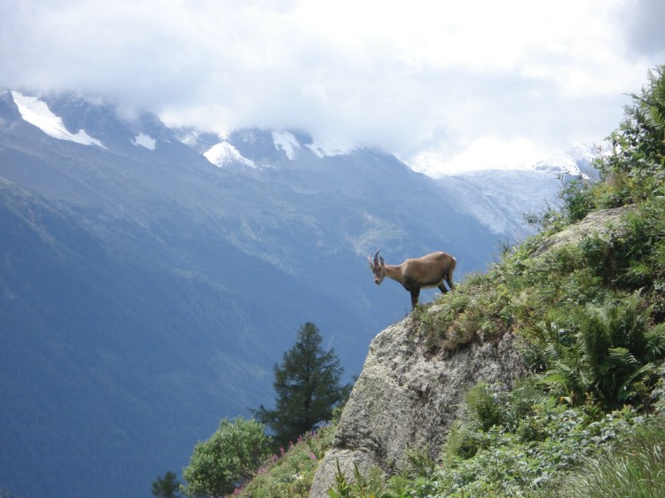 A climber observing other climbers.    Photo: Andreas Bengtsson