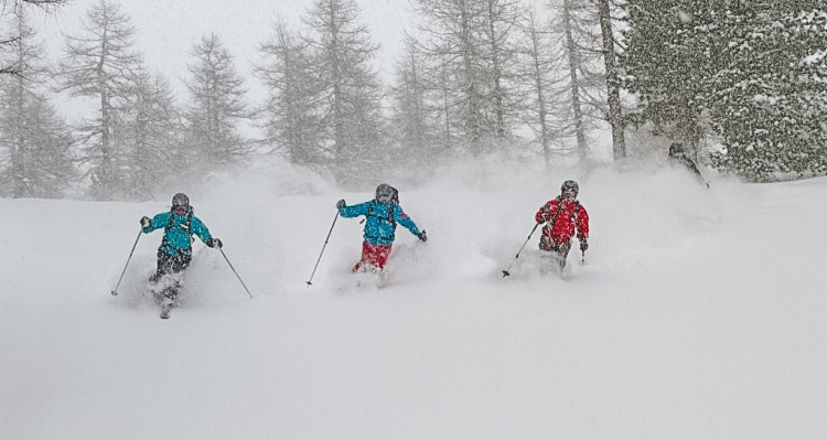 Bästa svängen hökarängen. Puderåkning i kraftigt snöfall. 11e Feb 2010. Foto: Andreas Bengtsson