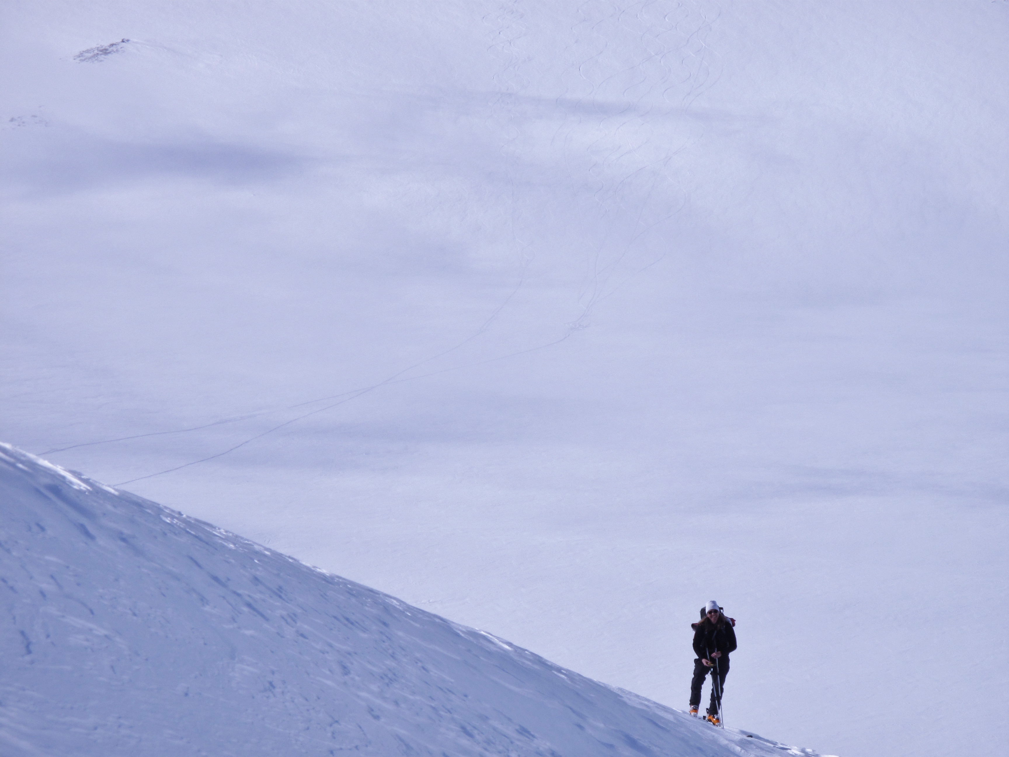 Jojo leden. Ski touring Kebnekaise 6 April 2011 Photo: Magnus Strand