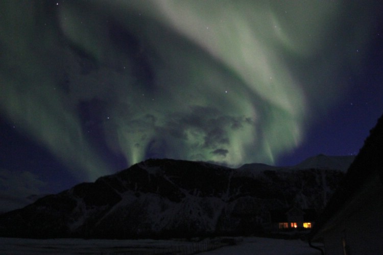 Aurora Borealis in Lyngen! Photo: Carl Lundberg