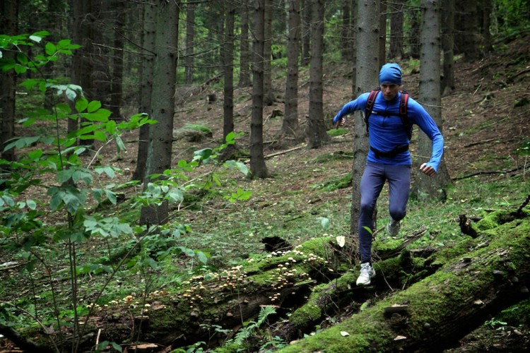 Försäsongsträning i skogen! Foto: Ulrika Hagberg