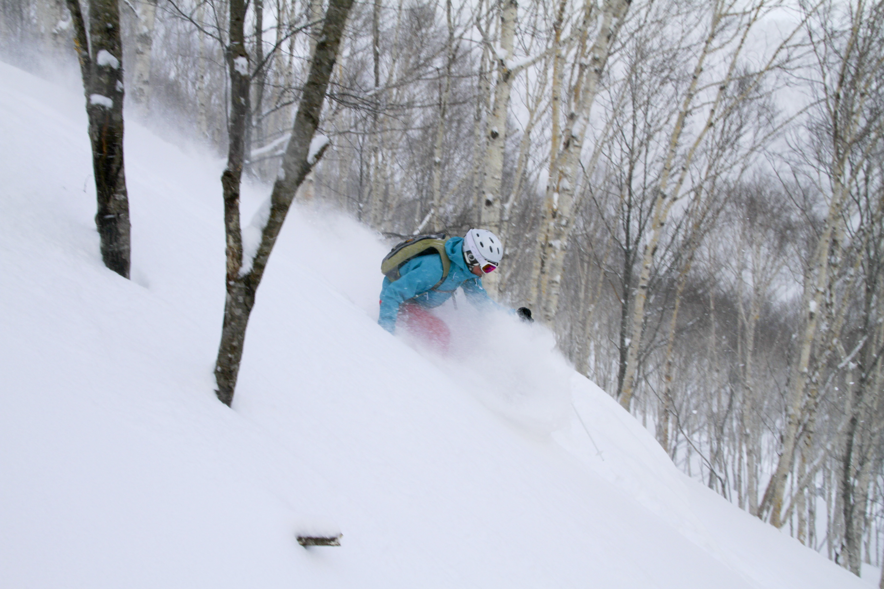 Vanessa Hogan skiing powder in Japan, Januari 2012. Foto: Andreas Bengtsson