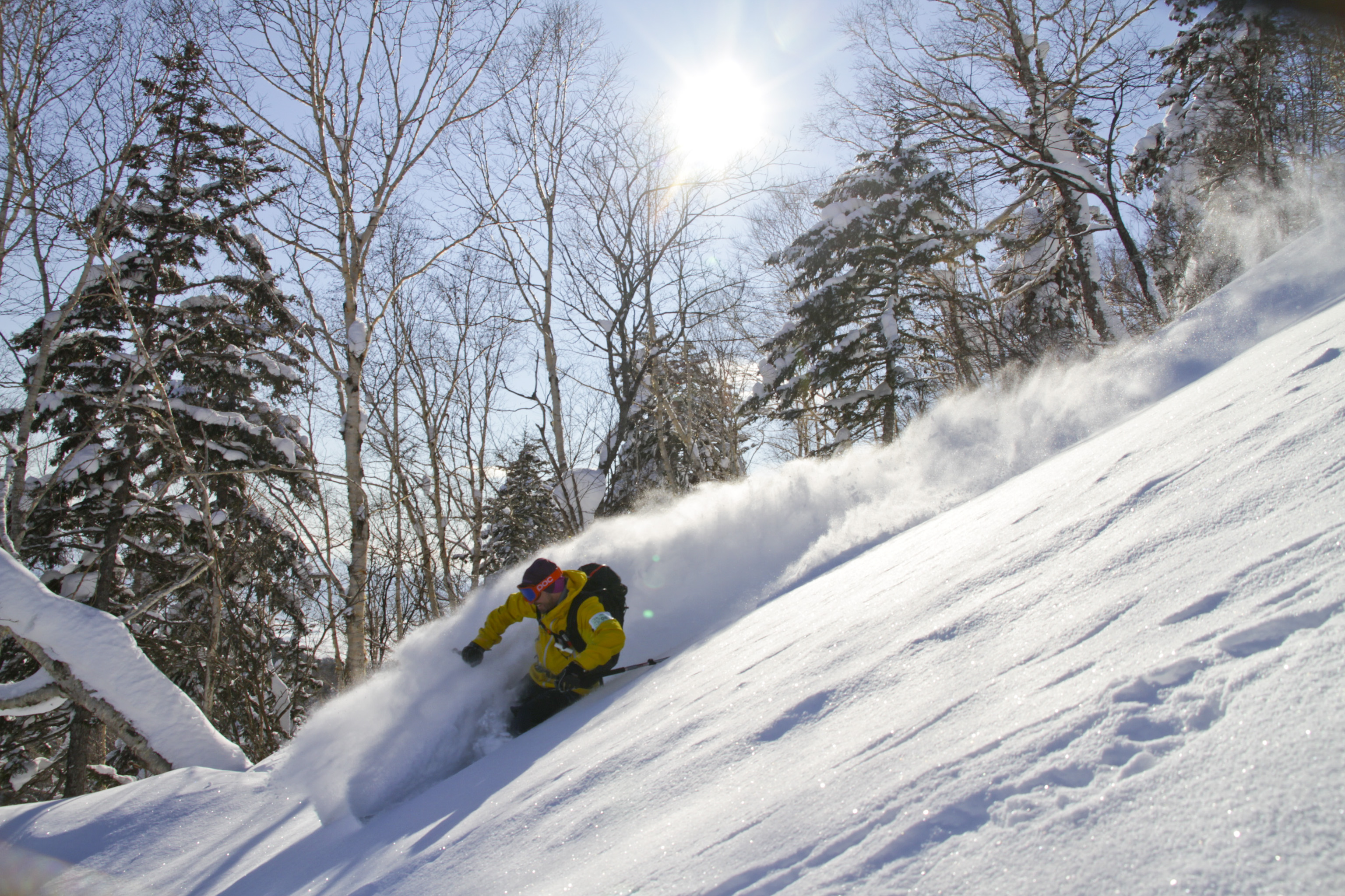 Andreas Bengtsson skiing powder in Japan, Januari 2012. Foto: David Kvart