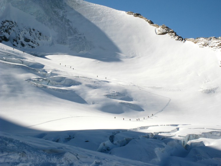 A glimpse of the alpine environment during the week. Photo Christian Türk.