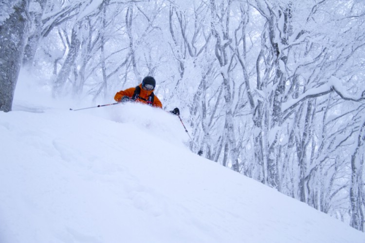 Somewhere on the island of Honshu. Lars Olof Elfversson gets her need for speed. The children stay at home with the grandparents when Mom and Dad are on a powder trip in Japan. Photo: Andreas Bengtsson