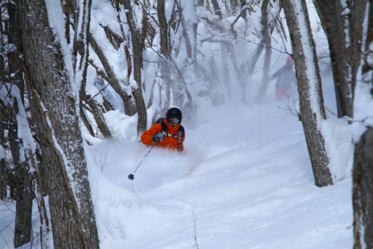 A favorite image of Honshu. Captures the spirit of the forest and powder snow. Photo: Andreas Bengtsson