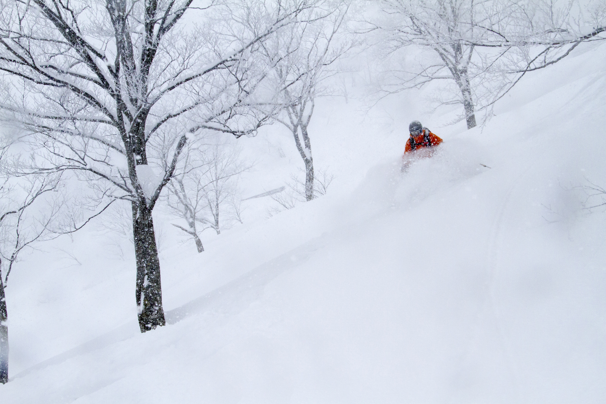 Japow! Djupt inne i skogarna p Honshu finns gott om sn. Foto: Andreas Bengtsson