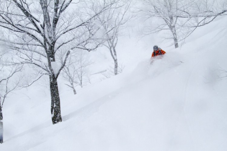 Japow! Djupt inne i skogarna på Honshu finns gott om snö. Foto: Andreas Bengtsson