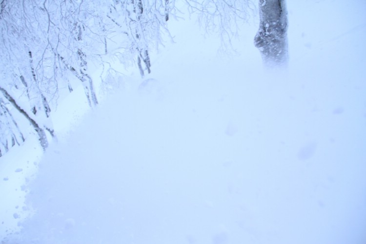 Sometimes it is useful to look up out of the snow smoke to see where the trees are. Henrik Bonnevier in temporary navigation problems. Photo: Andreas Bengtsson