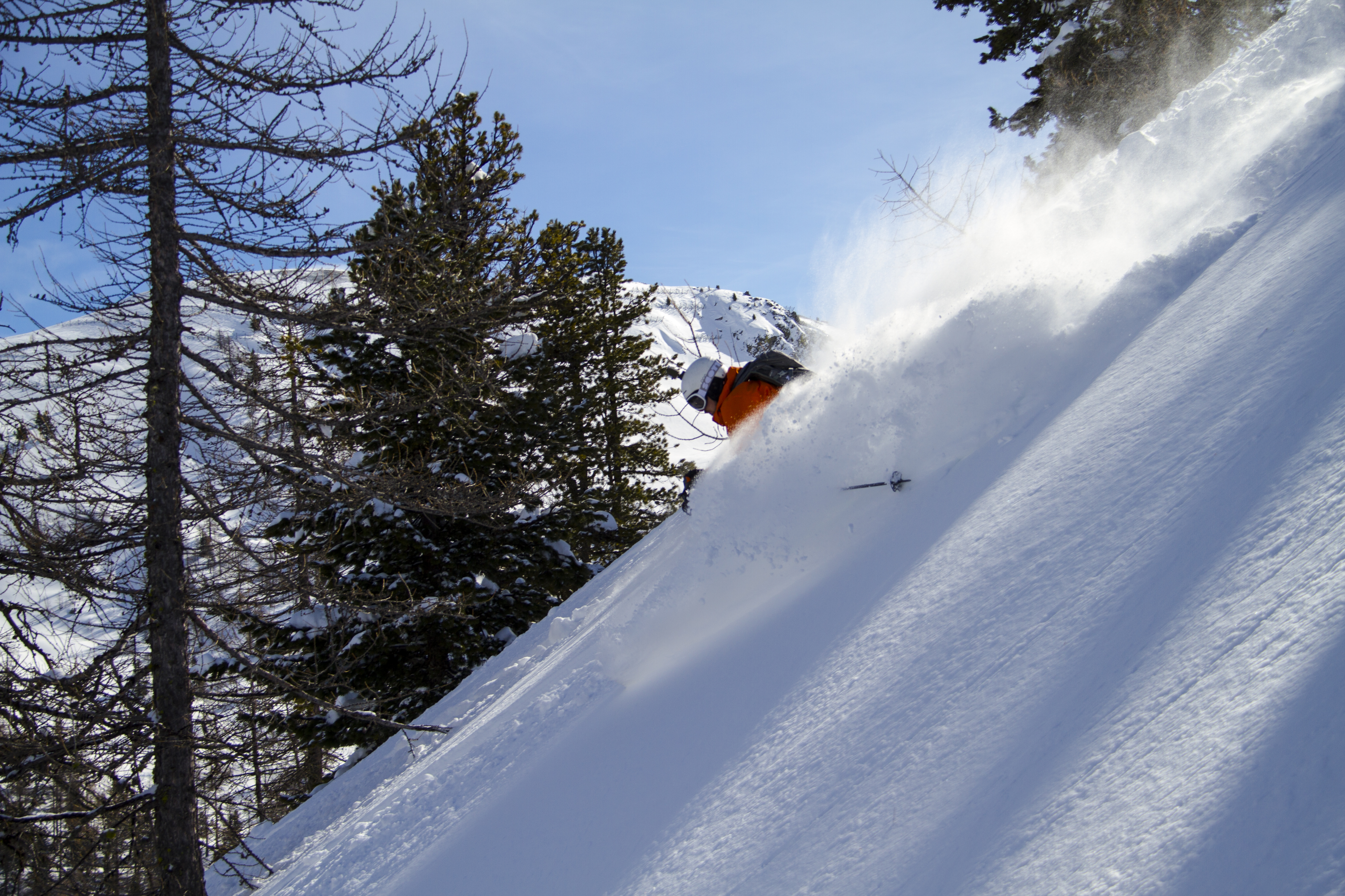 Powder safari. Photo: Andreas Bengtsson