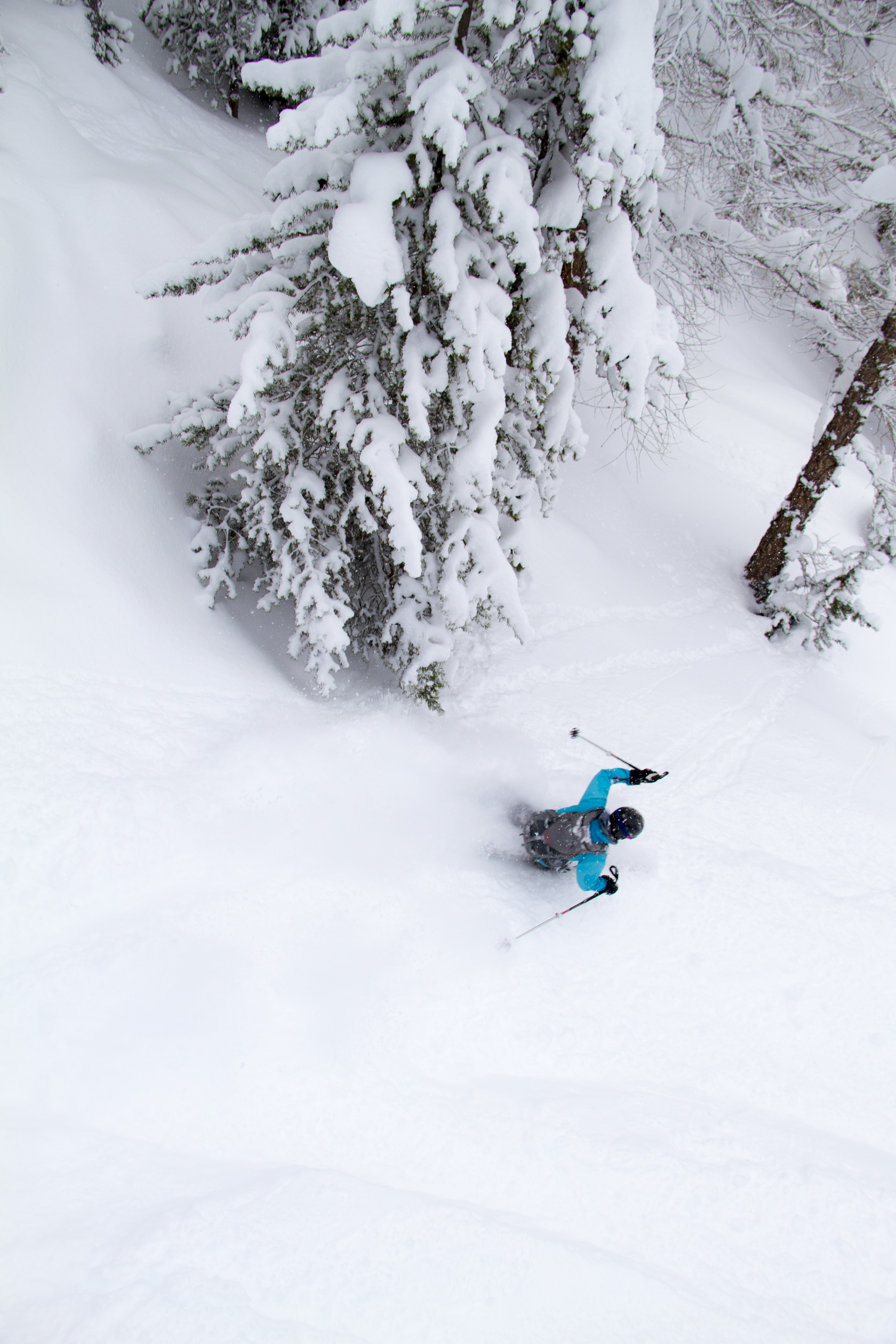 Powder safari. Photo: Andreas Bengtsson