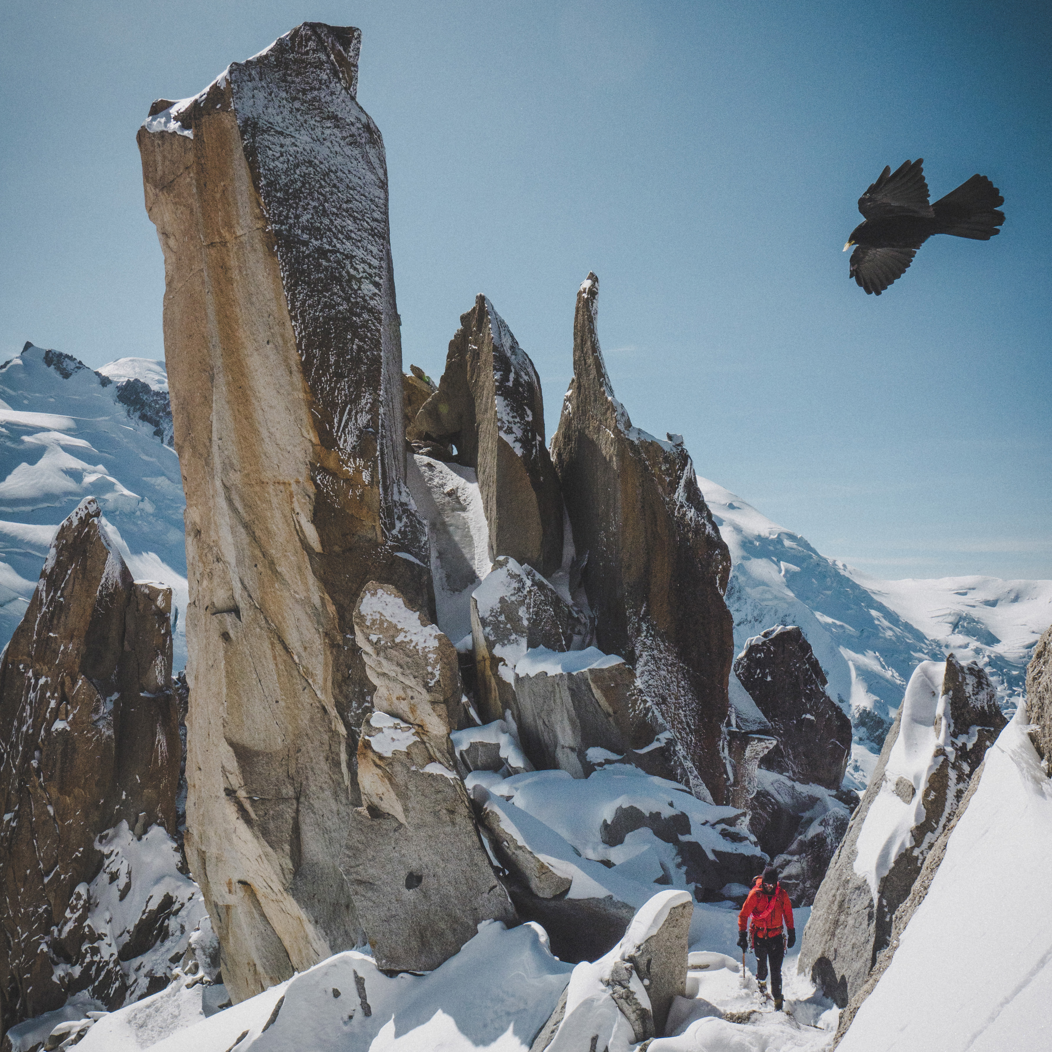 Cosmiques Arete. Foto Emma Svensson