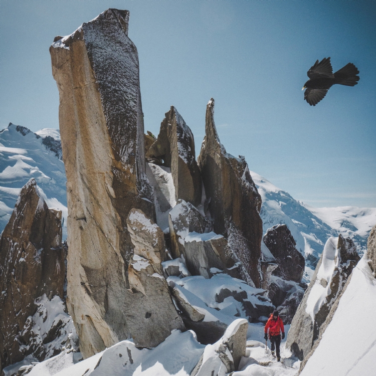 Cosmiques Arete. Foto Emma Svensson