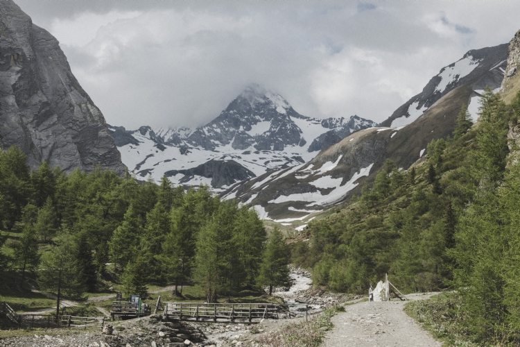 Utsikt från toppen av Gran Paradiso!