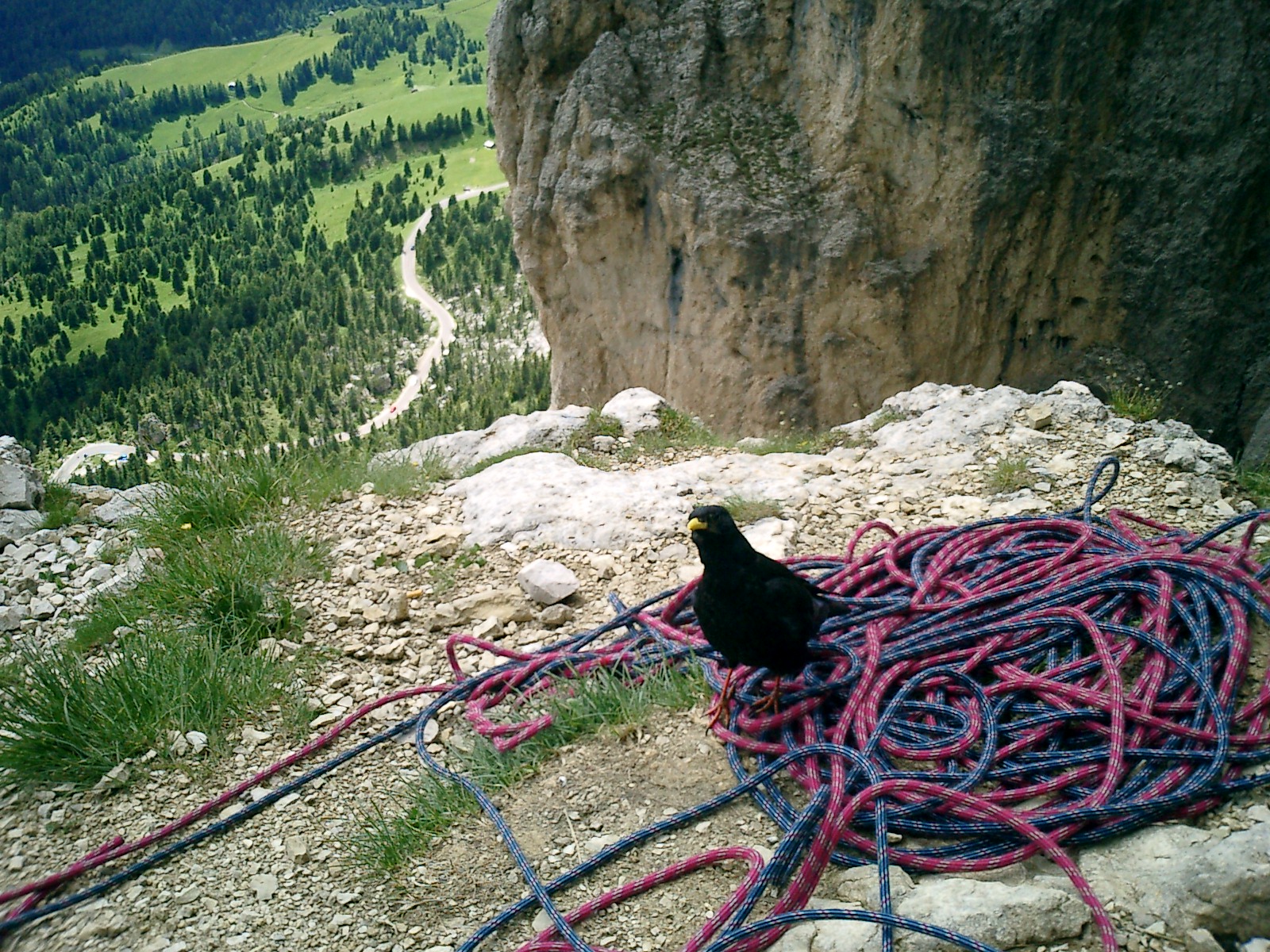 Nice company on your belay.    Photo: Andreas Bengtsson