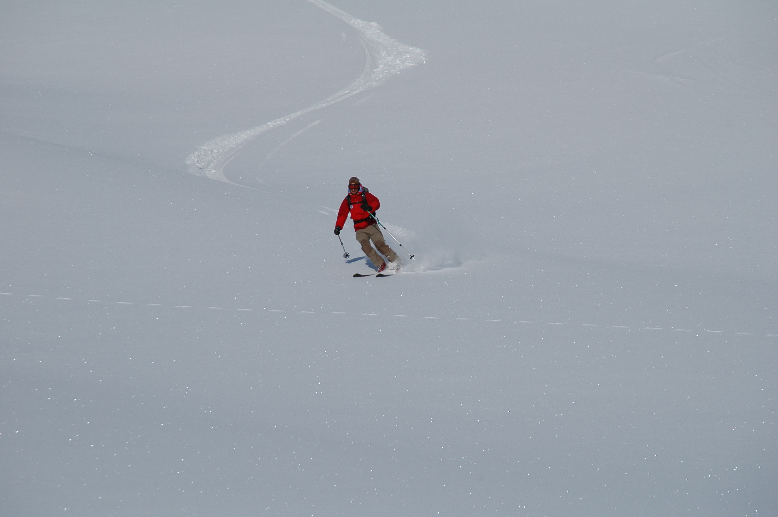 Bergsguide Andreas Bengtsson korsar inga spr frutom spr efter ren eller fjllhare.    Foto: Peter Almer 