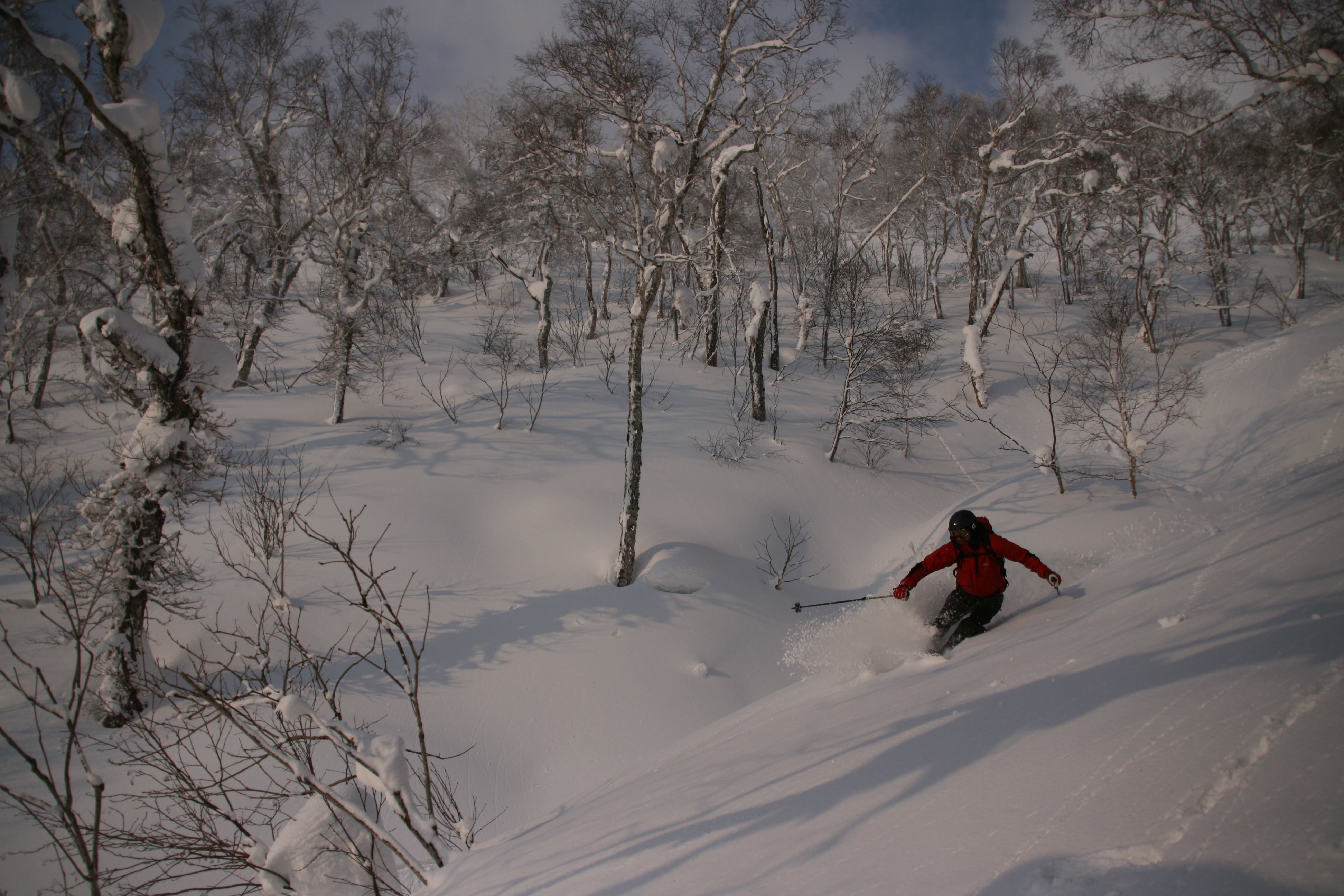 Anders Aidanp skiing the beautiful forest in Hokkaido, Japan. Photo: Andreas Bengtsson
