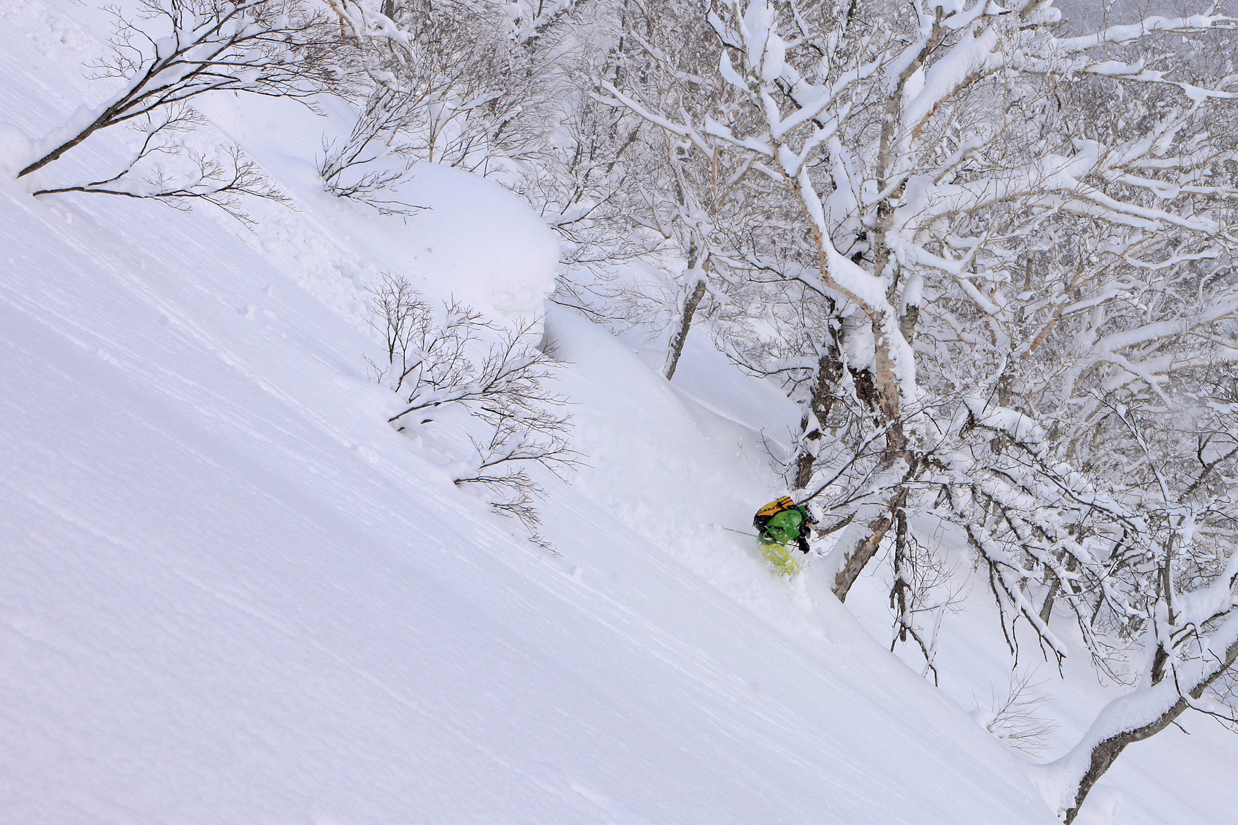 Anders Sjberg ker skidor i Annupuri, Japan. Foto: Henrik Bonnevier 