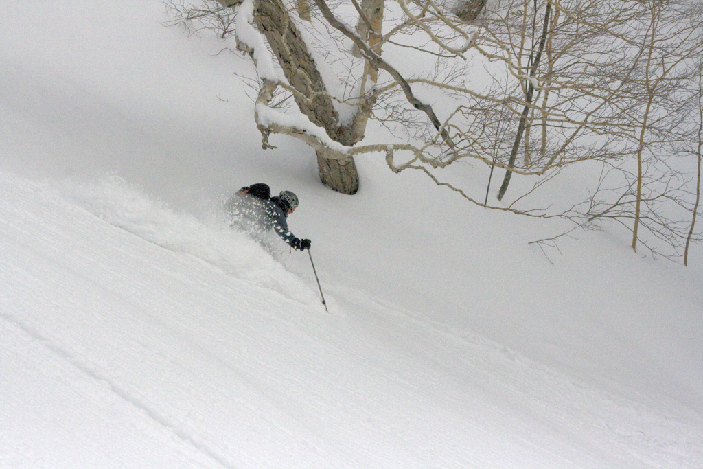 Mats Anderfjrd powder skiing. Hokkaido, Japan. January 10 2010. Photo: Andreas Bengtsson 