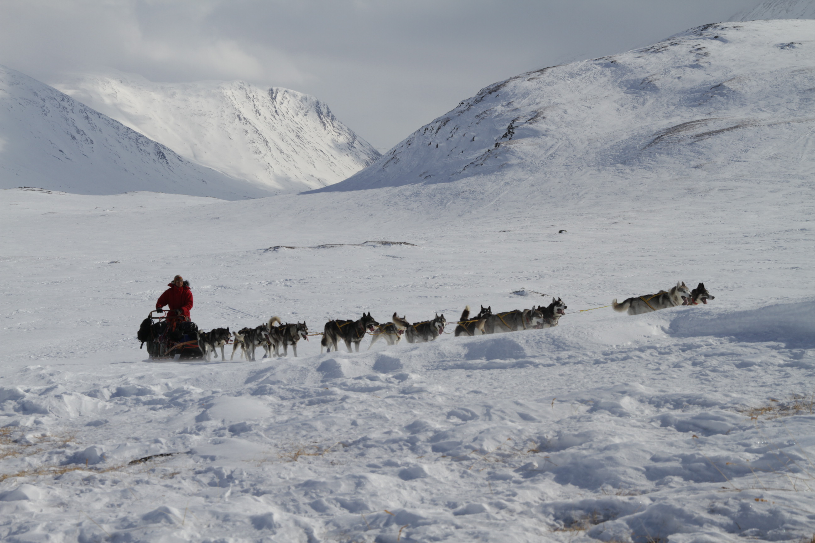 Matti frsker komma ikapp storseglarna. Sarek Ski Touring 7 April 2010. Foto Magnus Strand