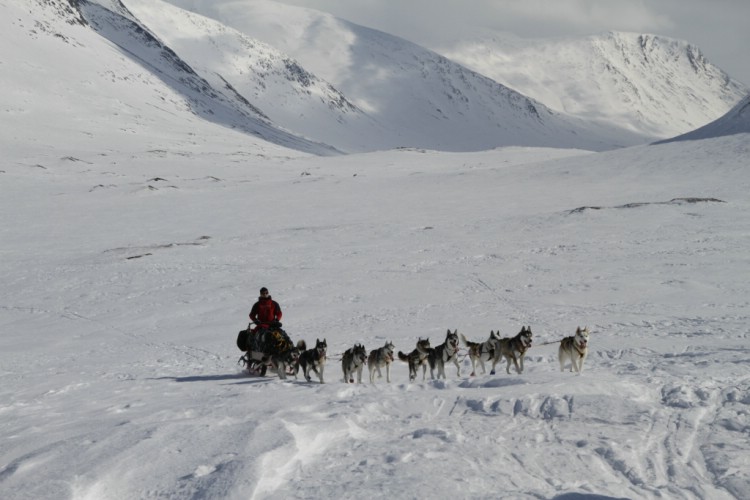Dog sledge bringing our food and equipment.  9th April 2010. Photo: Magnus Strand
