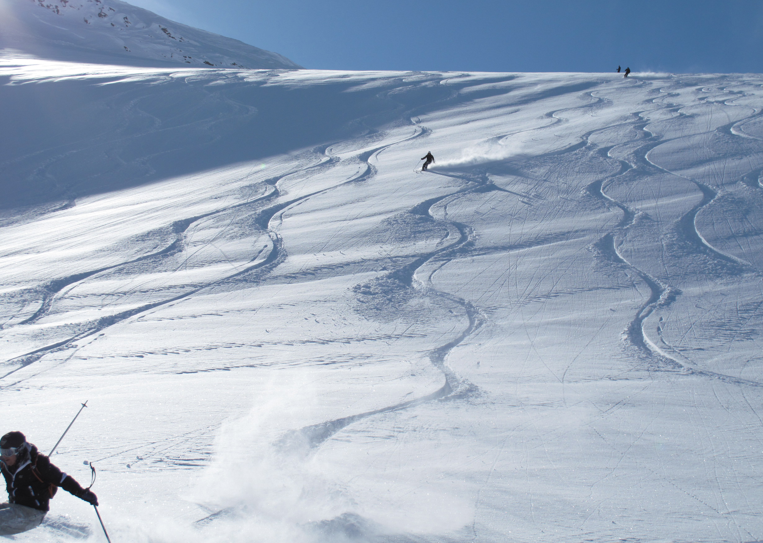 Skiing powder snow in spring sunshine. Heliskiing Riksgrnsen, 17th April 2010 Photo: Lisa Auer