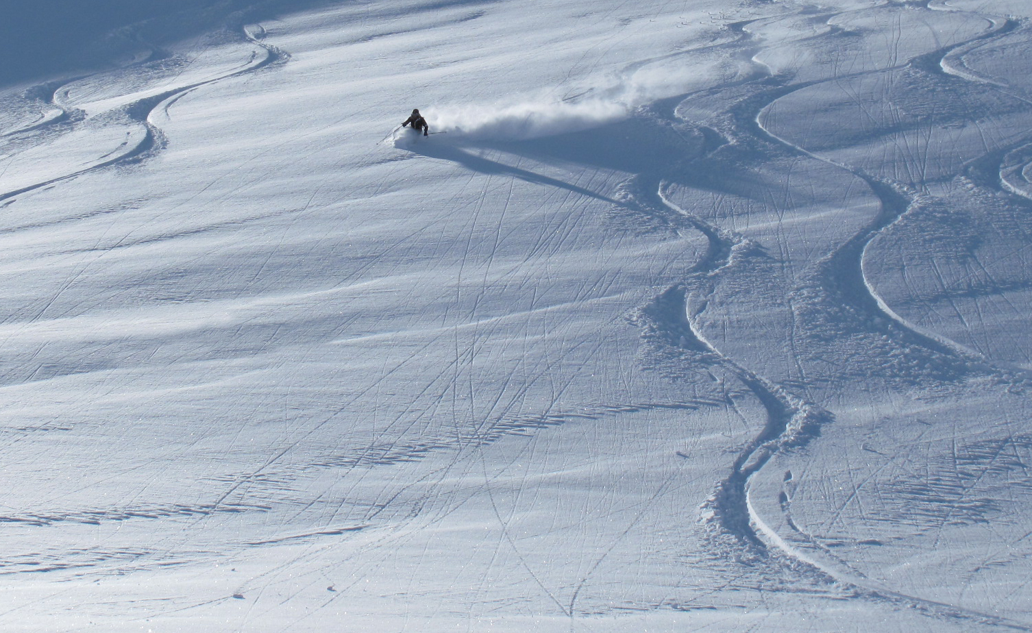 Creating smoking trails in spring powder. Heliskiing Riksgrnsen, 17th April 2010 Photo: Lisa Auer